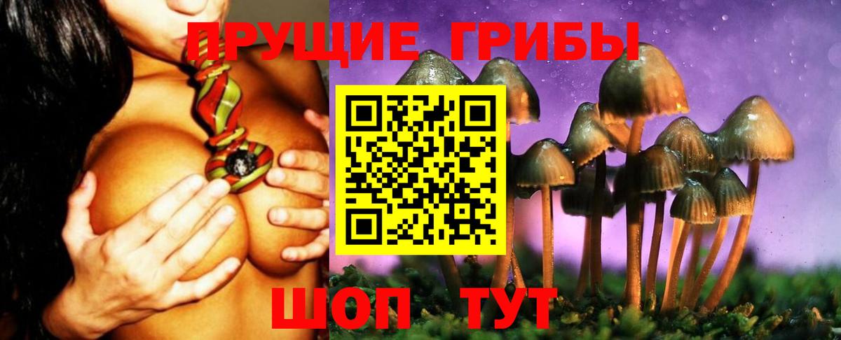 Галлюциногенные грибы мицелий  Галлюциногенные грибы Magic Shrooms  Вход с VPN  Отрадное 